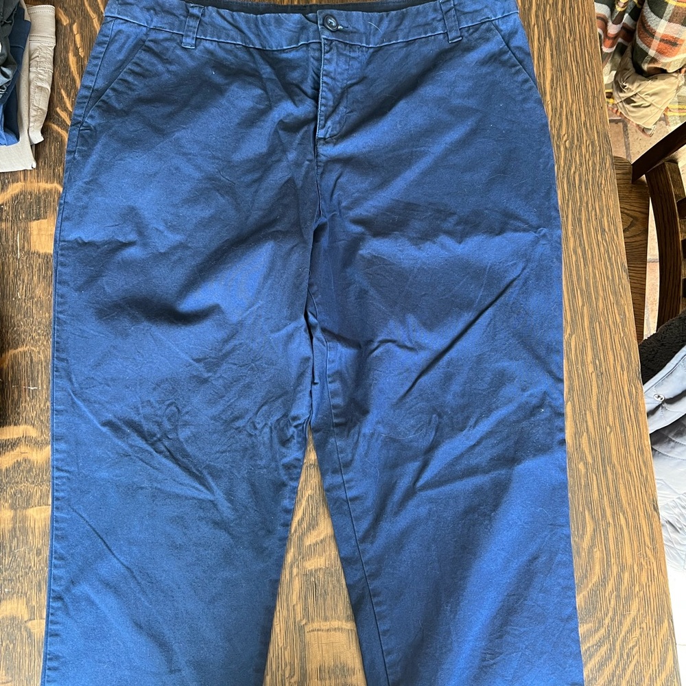 Patagonia pants 14